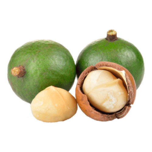 Macadamia Nut Essential Oil